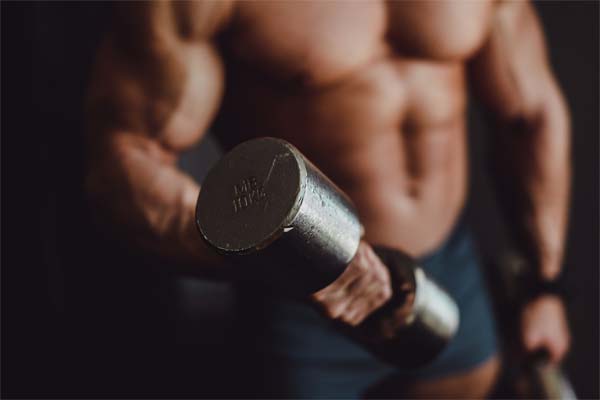 Mundogimnasio - musculacion